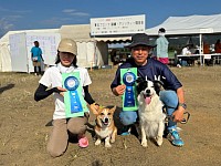 左：カイリー♂ 右：ルーク♂